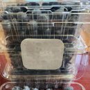 해오름 농장 이미지