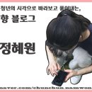 남원 백두대간 힐링캠핑장 이미지