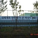 신세계주유소 이미지