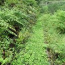 용화1리 이미지