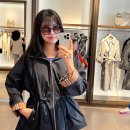 하모니카 (C와C 동시연주가능한 분) | 빈 비엔나 여행 일정 엑기스만 뽑은 코스 비용 총정리