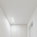 한라동백@ 이미지