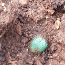 삿갓농장 이미지