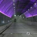 원산도 해수욕장 푸드존 이미지