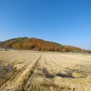 유림삼거리 이미지