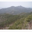 솔개재우 Daum카페