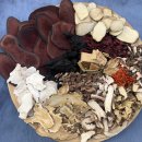 감초한의원 | [공지] 다이어트한의원 11월 어텀이벤트 김경주 대표원장님 진료복귀 #성수동한약다이어트