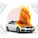 비둘기한국@ 이미지