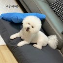 따숩개하우스 이미지