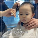 영아미용실 - 고창군 무장읍성길 25 | 오늘의 콩시우 l 첫 미용실 방문 후기 (D+341🐣)