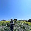 달리오름 이미지