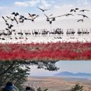 순천만 우리 이미지