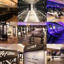 헬스인더짐 이미지