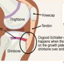 푸른경희한의원 이미지