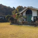 펜션보타닉 | [내돈내산] 청주 대가족 숙박 후기: 20명 대가족 모임, 완벽했던 600평 독채, 보타닉스테이