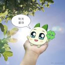 24년 10월 일상 ②