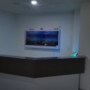 호수수족관 - 영주시 선비로 131 | 호수수족관
