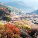 비밀의정원 이미지
