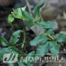 한라전설(주) 이미지