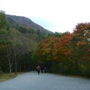 무등산 주봉 해발1,100m 서석대에서 산 낙지 먹는다 ㅋㅋㅋ 이미지
