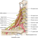 김상대한의원 이미지