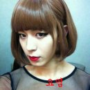 래쉬바다 이미지