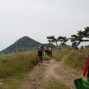 꽃마을로4 이미지