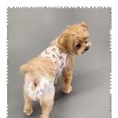 베스트유치원 이미지