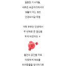 도그마루 강아지고양이 안양점 이미지