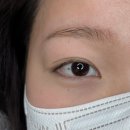 컬앤뷰티연화 | 망포역속눈썹펌 추천 무드왁싱앤뷰티 빠짝 컬 후기