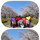 효심재가노인복지센터 네이버블로그