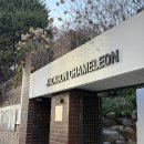잭슨카멜레온 연희 쇼룸 방문 및 구입 후기