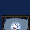 영덕낚시여행