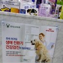 향남메디동물병원 이미지