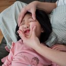 은영이네회수산 이미지