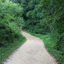 서종풀 펜션 이미지