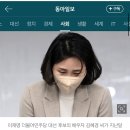 경기도, ‘김혜경 법카 의혹’ 배씨 경찰에 고발 (🔥감정쓰레기통 필요한 여시들 필독🔥) 이미지