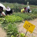 현영농장 이미지