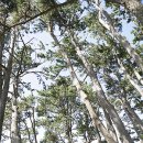 장한철의 표해록 이미지