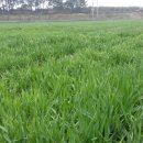 옥이농장 이미지