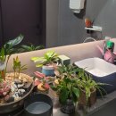 흥성한의원 이미지