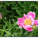 금용농장 이미지