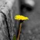 굿라이프 이미지