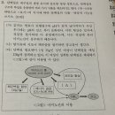 아미노산풀 기출 질문 이미지