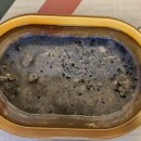 빕스 딜리버리 강동점 이미지