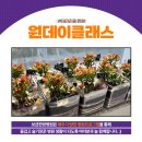 보금한방병원 이미지