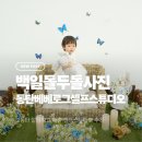 동탄 아기사진 스튜디오 추천｜백일·돌·생일 촬영 가능한 베베로그 후기