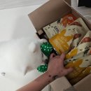 에너메카 휘트니스 | 미아사거리 pt추천 에너메카휘트니스 내돈내산후기 여자다이어트