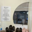 멍돌핀 | 강남 논현역 놀거리 강아지 카페 애견카페 데이트 멍돌핀 재방문 후기