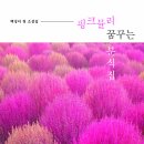 ＜신간＞ 아름답고 지혜로운 백 작가와 함께하는 꿈과 치유의 여행! 「핑크뮬리 꿈꾸는 분식집」 (백정미 저 / 보민출판사 펴냄) 이미지